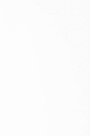 Walter Mercado Mucho Mucho Amor