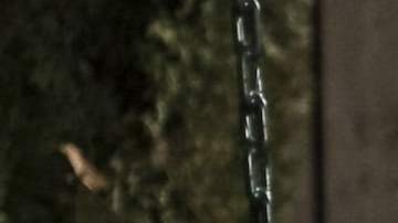 'Party of Five' photo by Philippe Bosse. Courtesy of Freeform