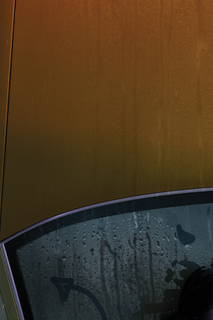 Photo courtesy of the artist