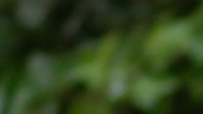 nterim President of Bolivia Jeanine Añez (C) speaks regarding a bill to protect former President Evo Morales during a press conference at Bolivian Palace of Government, known as Palacio Quemado, on November 23, 2019 in La Paz, Bolivia. Photo by Gaston Brito Miserocchi/Getty Images