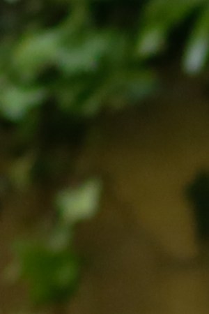 nterim President of Bolivia Jeanine Añez (C) speaks regarding a bill to protect former President Evo Morales during a press conference at Bolivian Palace of Government, known as Palacio Quemado, on November 23, 2019 in La Paz, Bolivia. Photo by Gaston Brito Miserocchi/Getty Images