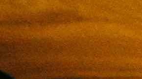 Books organized in bookshelves. Photo by Dong Wenjie / Getty Images