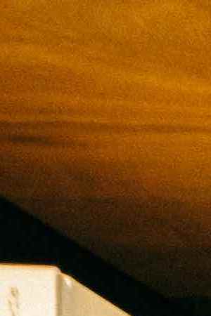 Books organized in bookshelves. Photo by Dong Wenjie / Getty Images