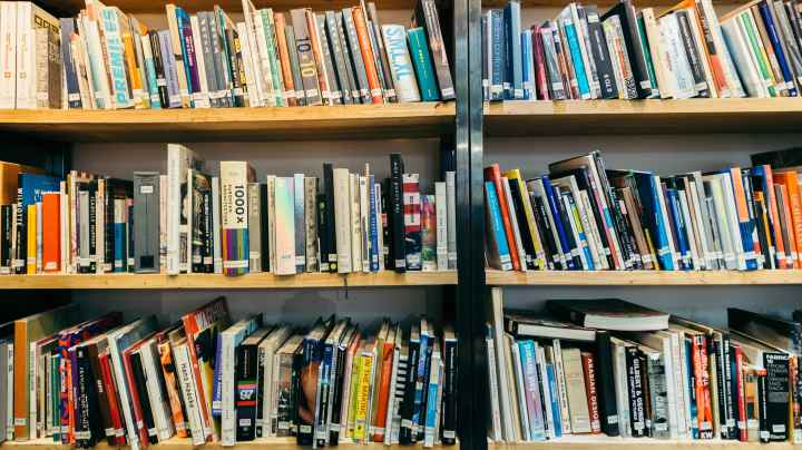 Books organized in bookshelves. Photo by Dong Wenjie / Getty Images
