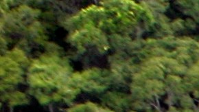 Teles Pires River in 
Itaúba, Mato Grosso, Brazil. Photo by 
LeoFFreitas / Getty Images