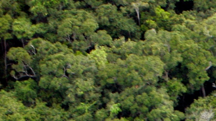 Teles Pires River in 
Itaúba, Mato Grosso, Brazil. Photo by 
LeoFFreitas / Getty Images