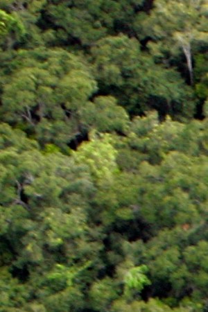 Teles Pires River in 
Itaúba, Mato Grosso, Brazil. Photo by 
LeoFFreitas / Getty Images