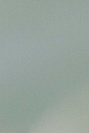 A glass frog in Costa Rica. Photo by Carlosdiazgar / iStock / Getty Images Plus