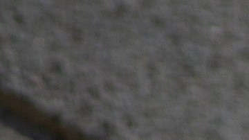 Razor wire is seen on the Metropolitan Detention Center prison as mass arrests by federal immigration authorities, as ordered by the Trump administration, were supposed to begin in major cities across the nation on July 14, 2019 in Los Angeles, California. Photo by David McNew/Getty Images