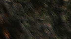 A 'lowrider' car is parked before the 72nd annual East LA Mexican Independence Day Parade on September 16, 2018 in Los Angeles, California. Photo by Mario Tama/Getty Images