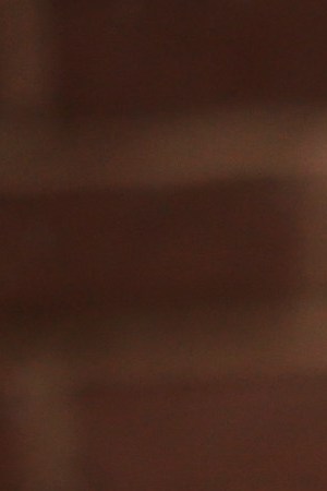 Activists hold signs during a rally to protest the Mexican government's handling of the missing Ayotzinapa 43 outside the Inter-American Commission of Human Rights as the commission is to hear testimonies on General Human Rights Situation in the State of Guerrero, Mexico March 20, 2015 in Washington, DC. Photo by Alex Wong/Getty Images