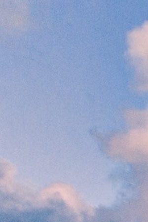 Miami city skyline. Photo by Jorge Gallardo / EyeEm/ Getty Images