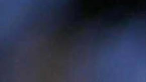 Monarch butterflies gather on an Oyamel tree January 29, 2001 at the butterfly sanctuary in Michoacan, Mexico. Photo by Susana Gonzalez/Newsmakers