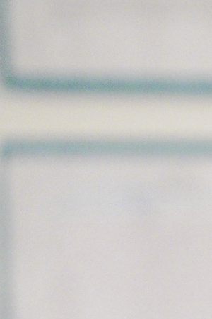 diary future president episode 301