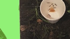 Art by Stephany Torres for Remezcla