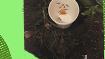 Art by Stephany Torres for Remezcla