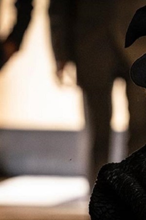 Courtesy of Showtime