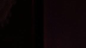 Photo courtesy of the artist