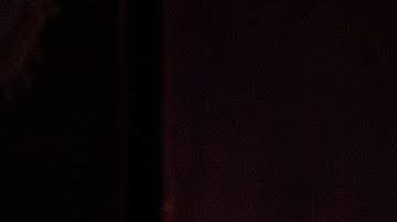 Photo courtesy of the artist