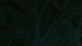 Photos courtesy of the artist