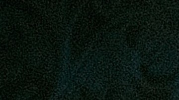 Photos courtesy of the artist