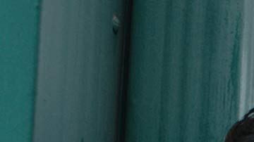 Courtesy of Vital Pictures.