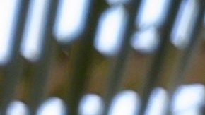 Michael Peña is Mr. Roarke in 'Blumhouse's Fantasy Island.' Courtesy of Sony Pictures.