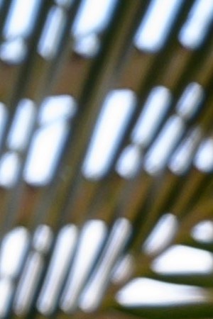 Michael Peña is Mr. Roarke in 'Blumhouse's Fantasy Island.' Courtesy of Sony Pictures.