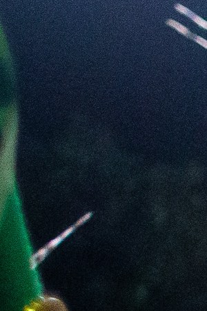 Rio Carnival 2020 - Day 1