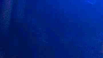 In this handout photo provided by A.M.P.A.S. Jonas Rivera, Josh Cooley, and Mark Nielsen pose with the award for Best Animated Feature Film backstage during the 92nd Annual Academy Awards at the Dolby Theatre on February 09, 2020 in Hollywood, California. Photo by Matt Petit - Handout/A.M.P.A.S. via Getty Images