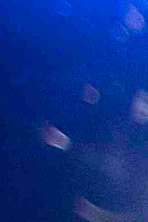 In this handout photo provided by A.M.P.A.S. Jonas Rivera, Josh Cooley, and Mark Nielsen pose with the award for Best Animated Feature Film backstage during the 92nd Annual Academy Awards at the Dolby Theatre on February 09, 2020 in Hollywood, California. Photo by Matt Petit - Handout/A.M.P.A.S. via Getty Images