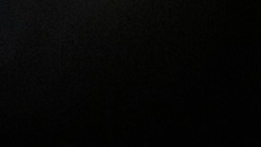 Monarch butterfly (Danaus plexippus) resting on a tree branch in their winter nesting area. Getty Images