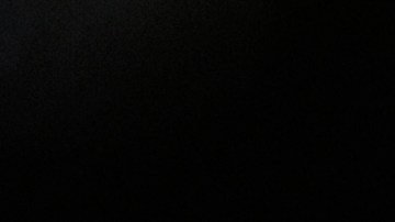 Monarch butterfly (Danaus plexippus) resting on a tree branch in their winter nesting area. Getty Images