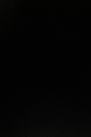 Monarch butterfly (Danaus plexippus) resting on a tree branch in their winter nesting area. Getty Images