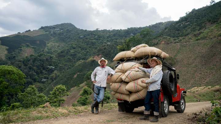 Photo by Getty Images