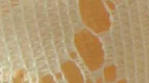 Photo by Itzel Alejandra Martinez for Remezcla