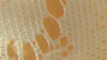 Photo by Itzel Alejandra Martinez for Remezcla