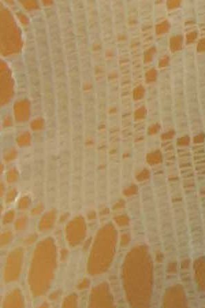 Photo by Itzel Alejandra Martinez for Remezcla