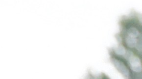 Exiled former president of Bolivia Evo Morales laughs as he shakes hands during a Christmas breakfast with members of the Bolivian community of Buenos Aires at Campo De Deportes del Colegio Nacional de Buenos Aires on December 25, 2019 in Buenos Aires, Argentina. Photo by Marcos Brindicci/Getty Images