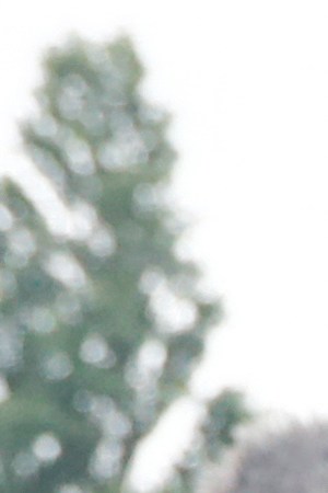Exiled former president of Bolivia Evo Morales laughs as he shakes hands during a Christmas breakfast with members of the Bolivian community of Buenos Aires at Campo De Deportes del Colegio Nacional de Buenos Aires on December 25, 2019 in Buenos Aires, Argentina. Photo by Marcos Brindicci/Getty Images