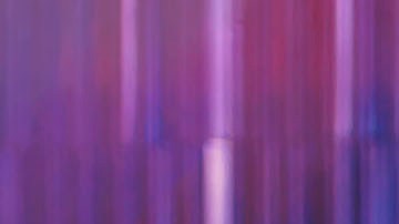 Photo courtesy of the artist.