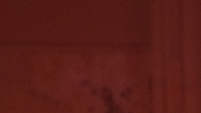 Photo courtesy of the artist