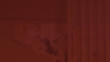 Photo courtesy of the artist