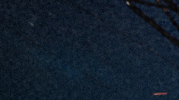 Photo courtesy of Rimas Entertainment