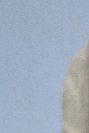 Artist Frida Kahlo poses for a portrait at the home and studio she shared with her husband Diego Rivera. Photo by Ivan Dmitri/Michael Ochs Archives/Getty Images