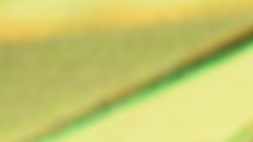 Cardi B yelling at our abuelas and/or performing onstage during Universal Pictures Presents The Road To F9 Concert and Trailer Drop on January 31, 2020 in Miami, Florida. Photo by Theo Wargo/Getty Images