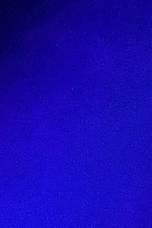 Rihanna accepts the President’s Award onstage during the 51st NAACP Image Awards, Presented by BET, at Pasadena Civic Auditorium on February 22, 2020 in Pasadena, California. Photo by Paras Griffin/Getty Images