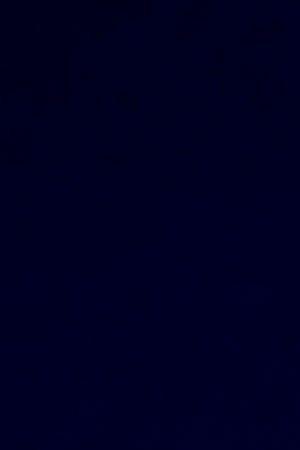 Bad Bunny performs onstage during the 2020 Spotify Awards at the Auditorio Nacional on March 05, 2020 in Mexico City, Mexico. Photo by Victor Chavez/Getty Images