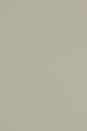 A passenger wearing a protective masks looks on after arriving at Mexico City airport on March 13, 2020 in Mexico City, Mexico. Photo by Hector Vivas/Getty Images