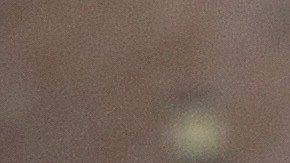 Anita Davila hands out meals for students at Oak Park-River Forest high school who are in the free or reduced lunch program or who are in need on March 20, 2020 in Oak Park,Illinois. Photo by Jonathan Daniel/Getty Images